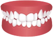 Crowded Teeth Icon